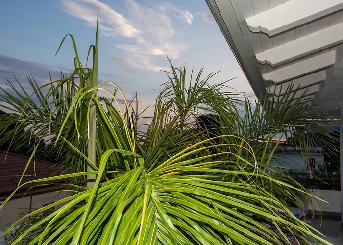 B&B Dionea Santa Maria di Castellabate